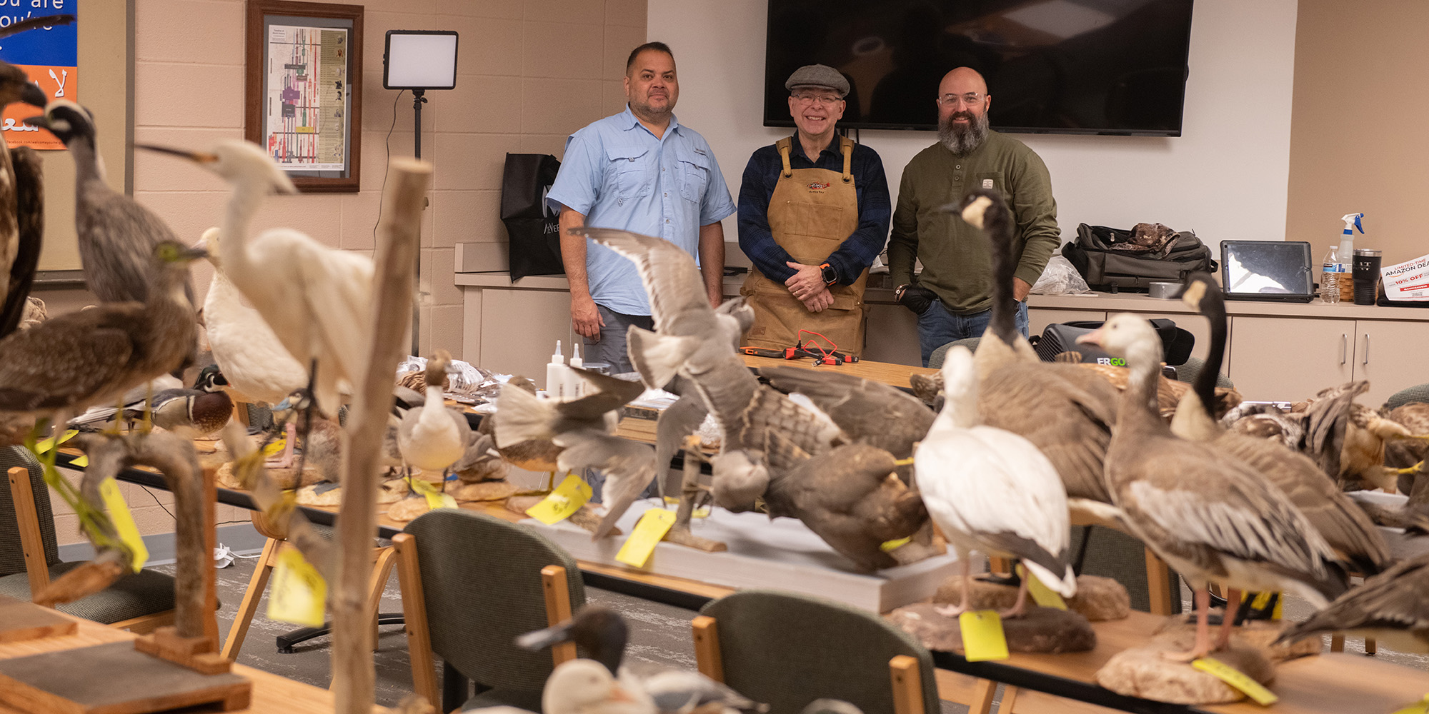 Rick Krane (middle) of Anglers Artistry Inc. in New Hampshire and Wes Becker (right) of M&W Taxidermy in Mount Hope, Kan., get additional support from Eddie Casas (left), a wildlife artist at Silvercreek Wildlife Artistry in Houston, Texas, in preparation for cleaning and restoring the Richard Schmidt bird collection at Hesston College.